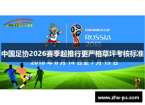 中国足协2026赛季起推行更严格草坪考核标准