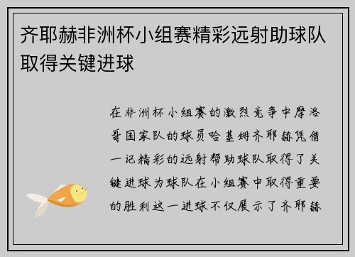 齐耶赫非洲杯小组赛精彩远射助球队取得关键进球